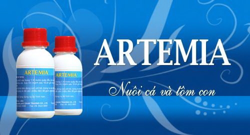 Artemia