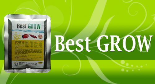 Best Grow