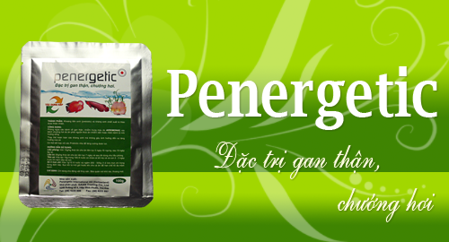 Penegertic - Đặc trị gan thận, chướng hơi