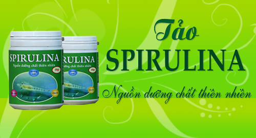 Tảo Spirulina