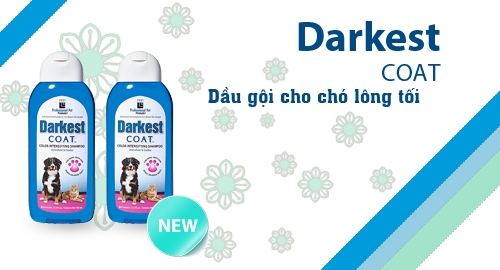 DARKEST COAT SHAMPOO