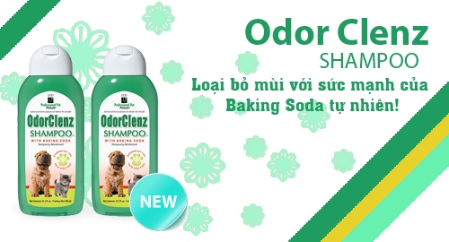 ODOR CLENZ SHAMPOO